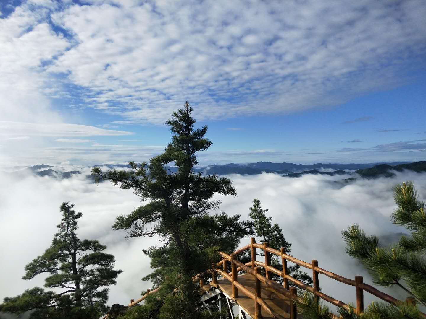 伊春 自由行攻略金山屯金祖峰 旅行社团购政策:无购票人数限制,团购