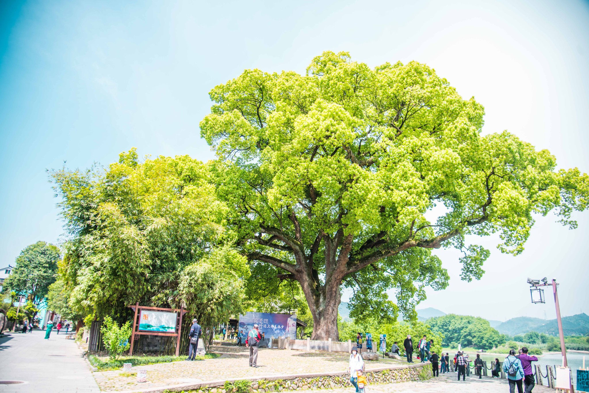 古堰画乡 最美丽的艳遇，爱上丽水这片山水