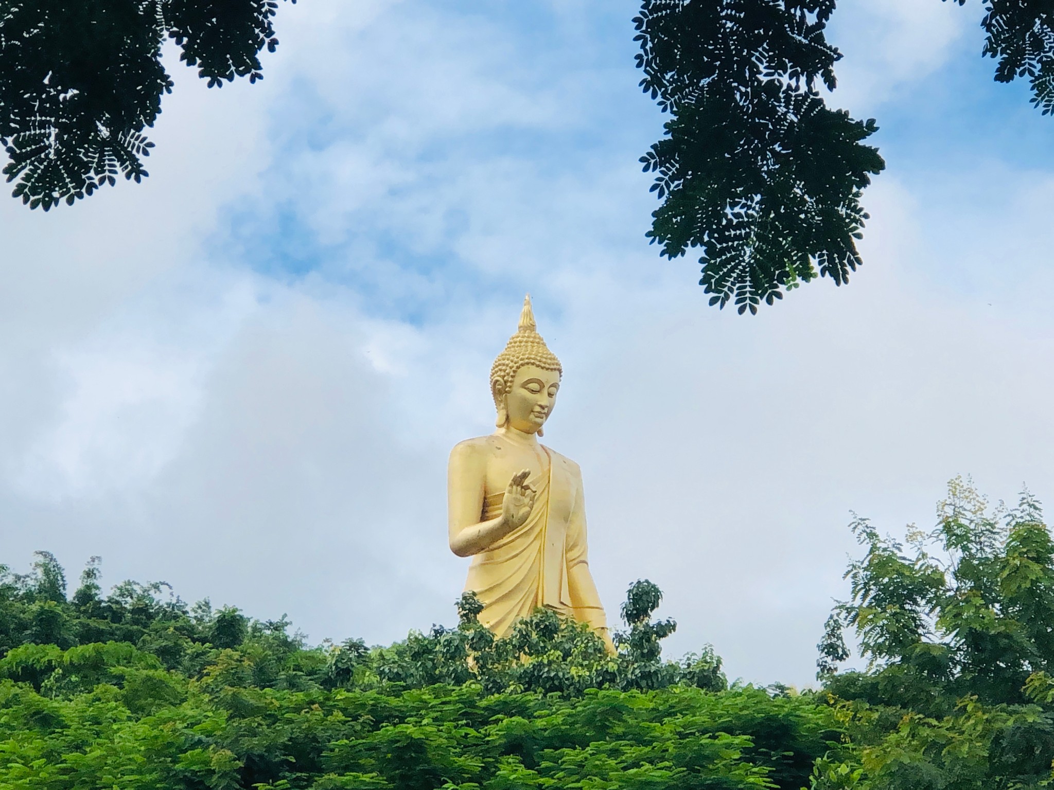 云南南部行西双版纳勐泐大佛寺