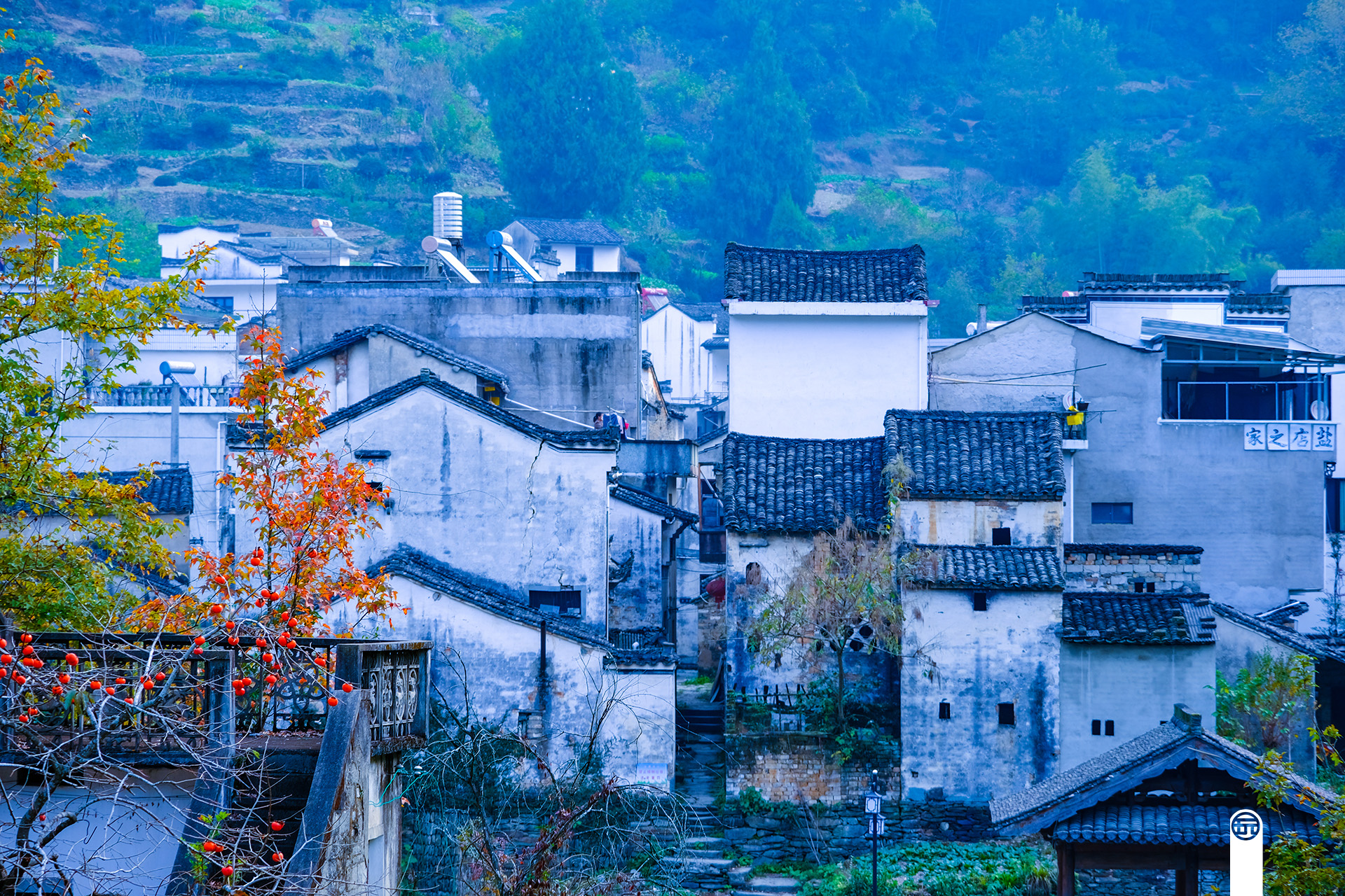 早饭后,我们来到山脚下的石潭古村,领略秋色中的皖南民居