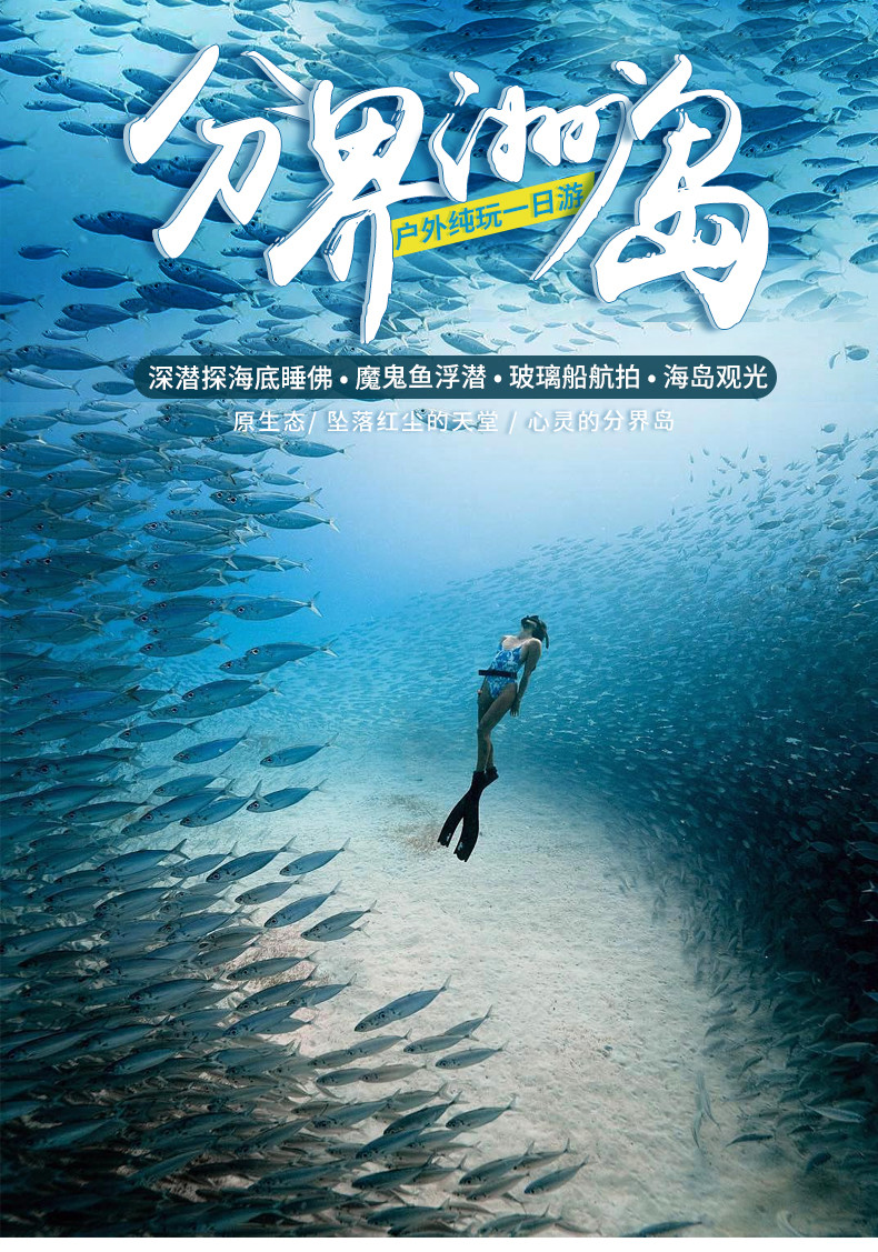 分界洲岛户外潜水纯玩一日游深潜1对1教练珊瑚浮潜网红玻璃船航拍海豚