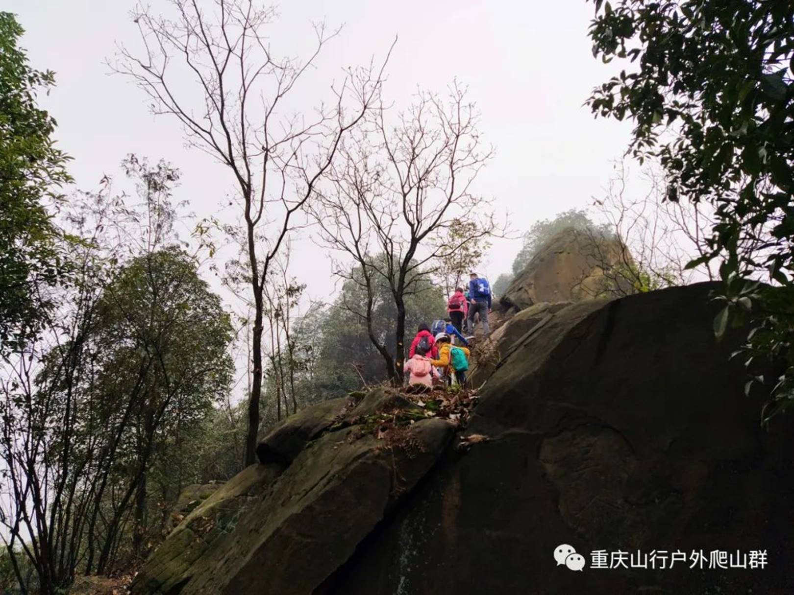 山行游记徒步重庆蛇头山选择