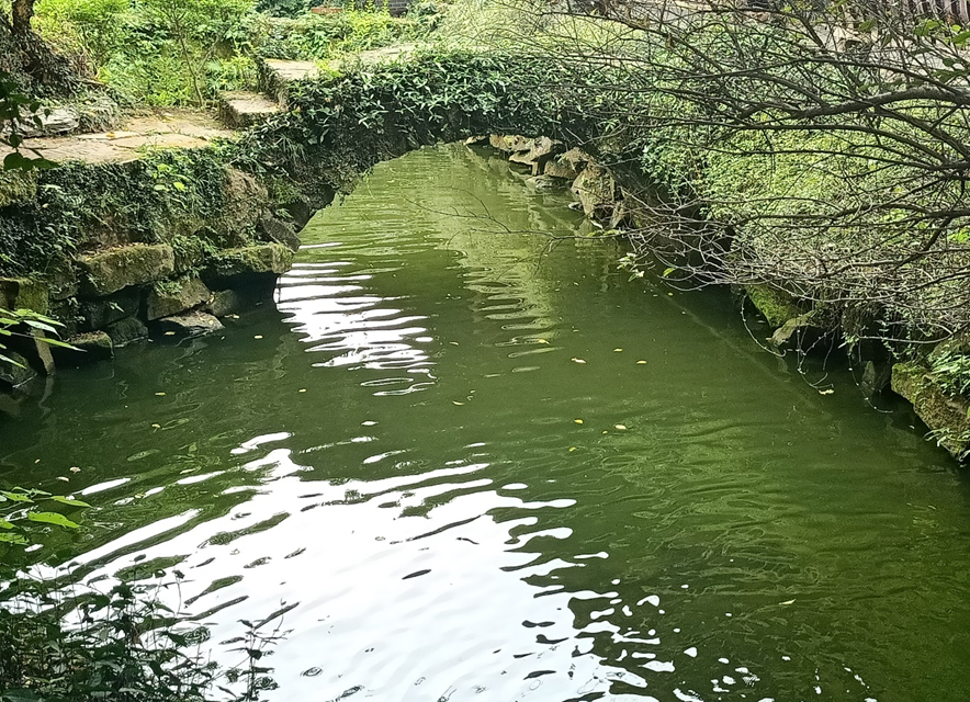 邂逅根雕——根宫佛国
