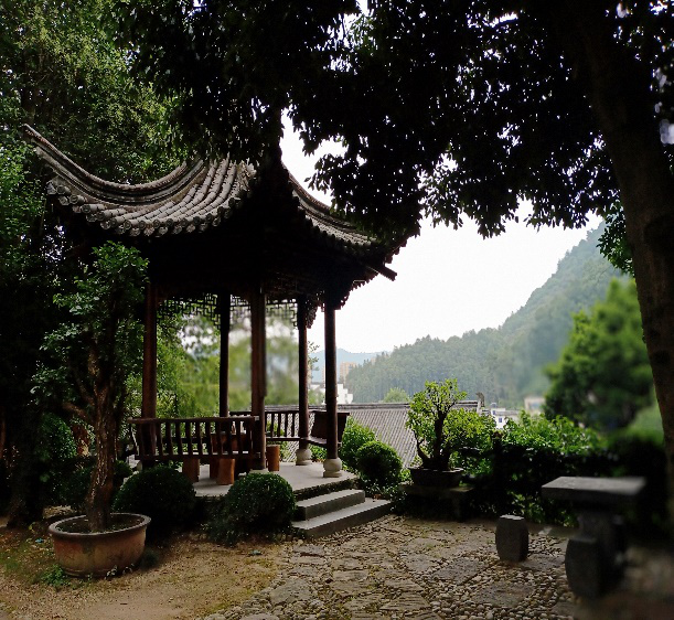 邂逅根雕——根宫佛国