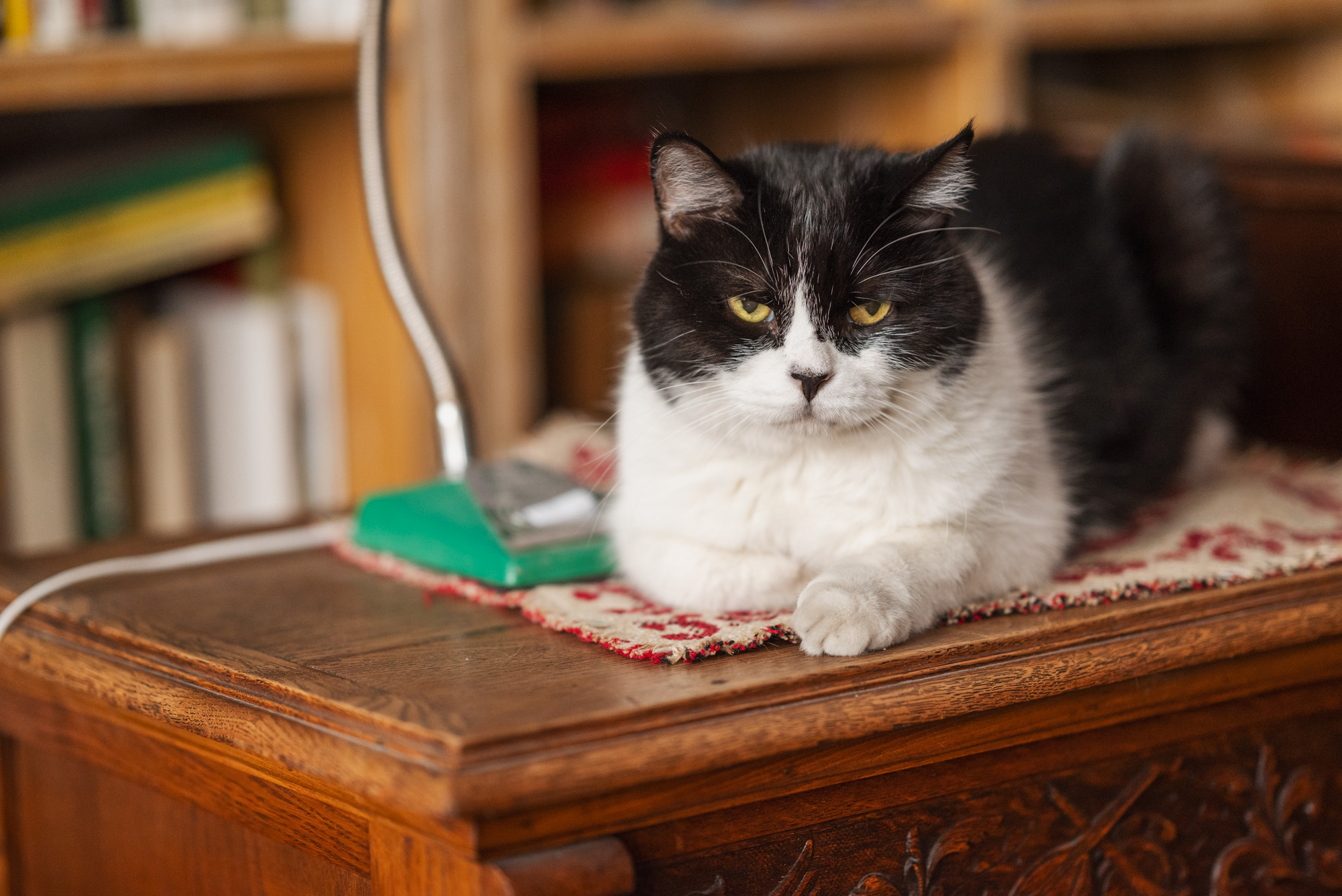 CoUBXl90eA6ARodSAAlC9pq1rhg657.jpg?imageView2%2F2%2Fw%2F680%2Fq%2F90%7CimageMogr2%2Fstrip%2Fquality%2F90