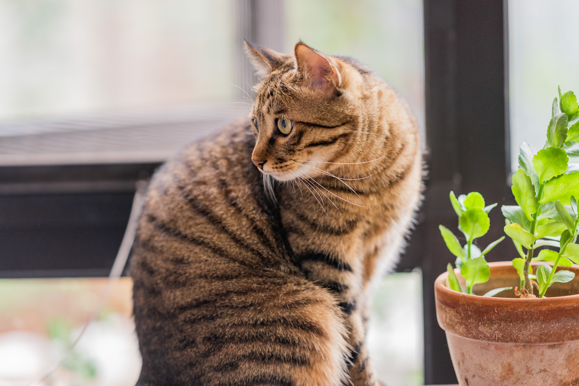 CoUBXl90eByATFEeAAnkW6Orf7g476.jpg?imageView2%2F2%2Fw%2F680%2Fq%2F90%7CimageMogr2%2Fstrip%2Fquality%2F90