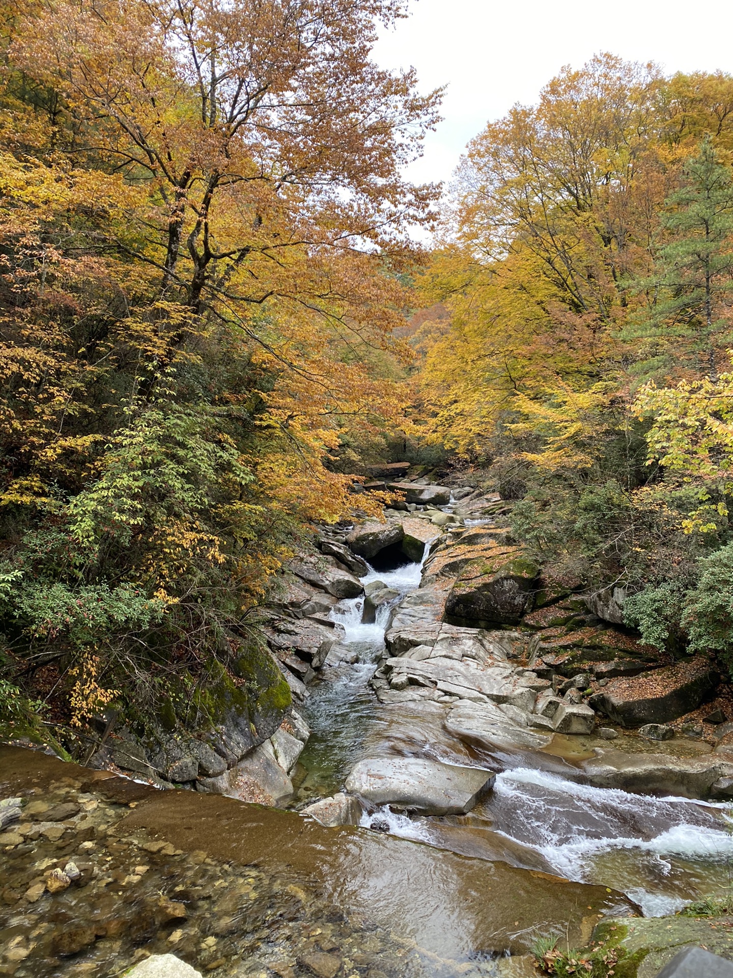 十月底陕西汉中留坝,四川巴中米仓山赏红叶三日游_游记