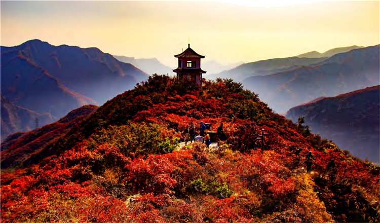 北京药王谷一日游探神秘药王谷赏红叶云腾山浮飘渺如画寻觅北京小众醉