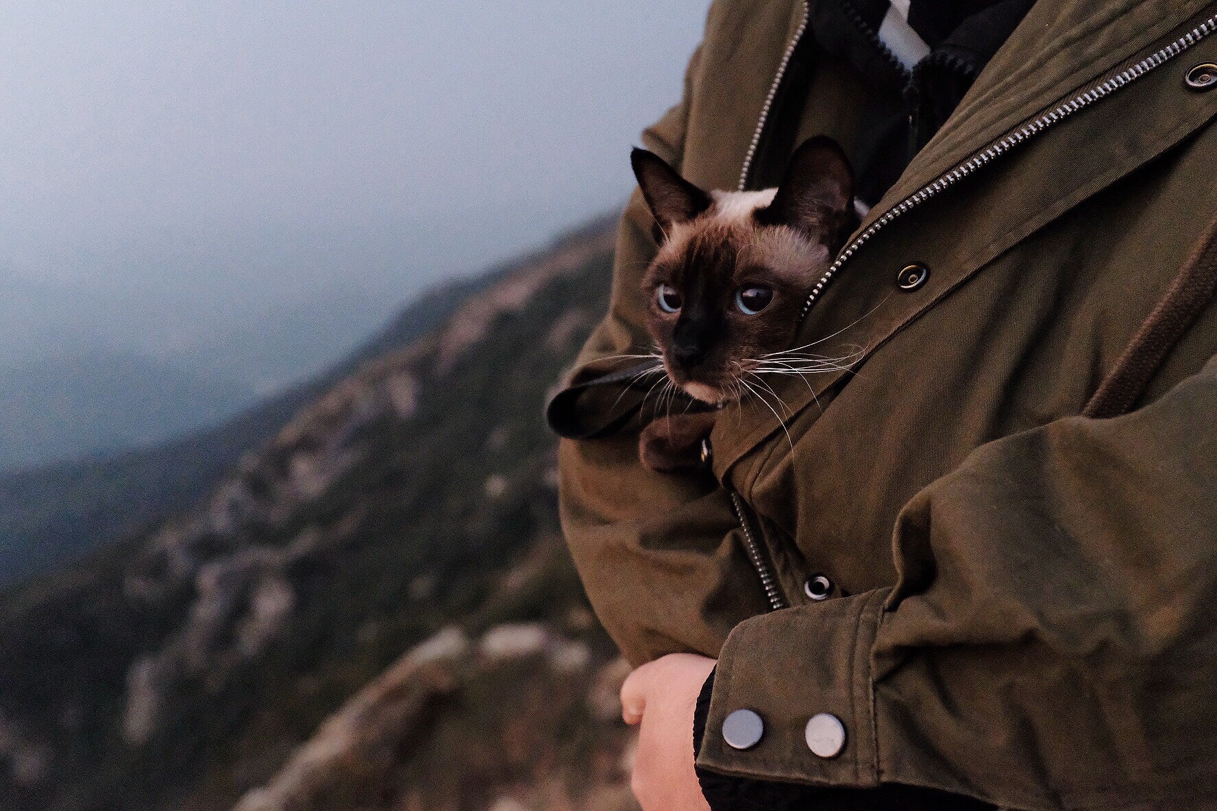 第一次带猫咪去露营_游记