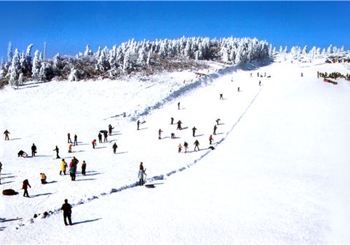 欢乐冰雪季重庆南川金佛山西坡 金佛寺祈福 天星小镇纯玩一日游(主城5