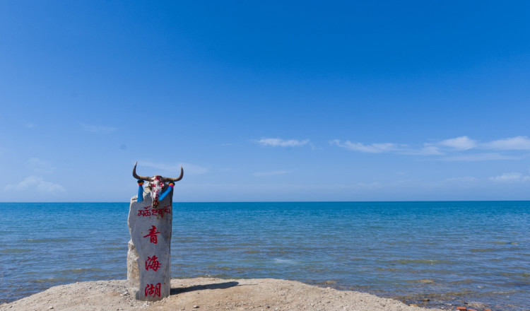 青海甘肃额济纳旗胡杨林10日定制游青海湖大柴旦翡翠湖敦煌高莫高窟