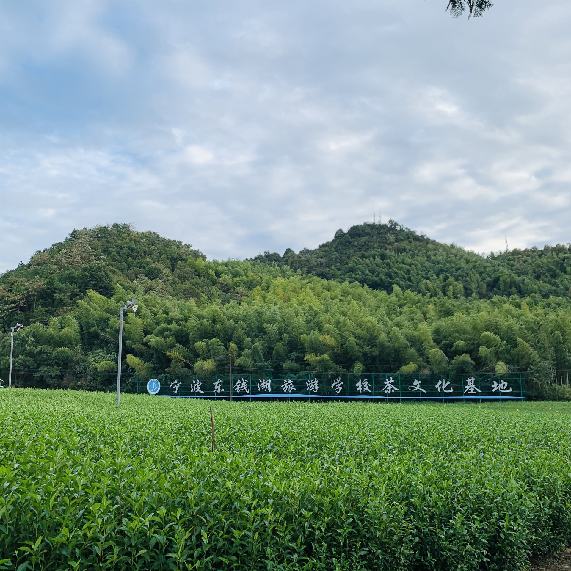 东钱湖福泉山景区       