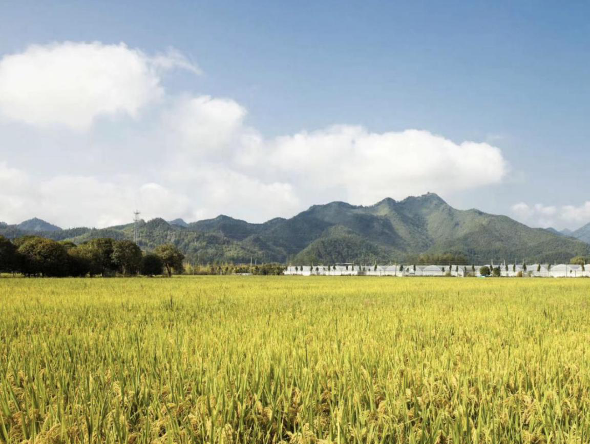 探索开化，甜蜜之旅