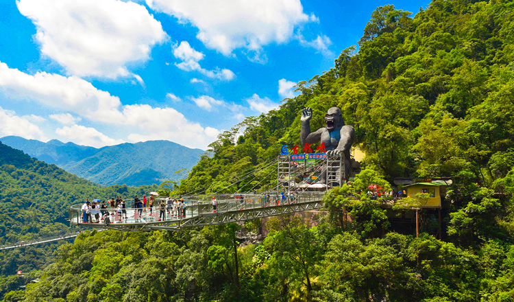 广东省内旅游深圳广州出发清远2日团建拓展企业年会议公司团队出游