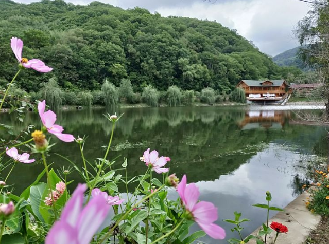 参仙谷生态旅游度假区电子票