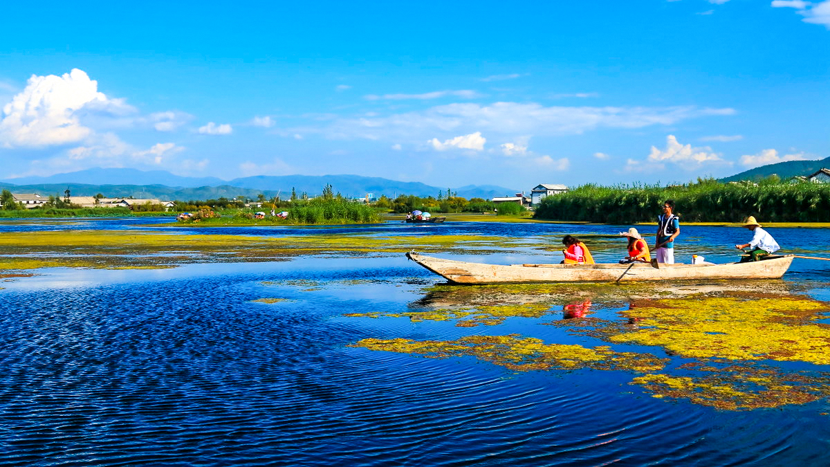 大理洱源西湖国家湿地公园景区大门票(高原淡水湖·体验高原水乡的