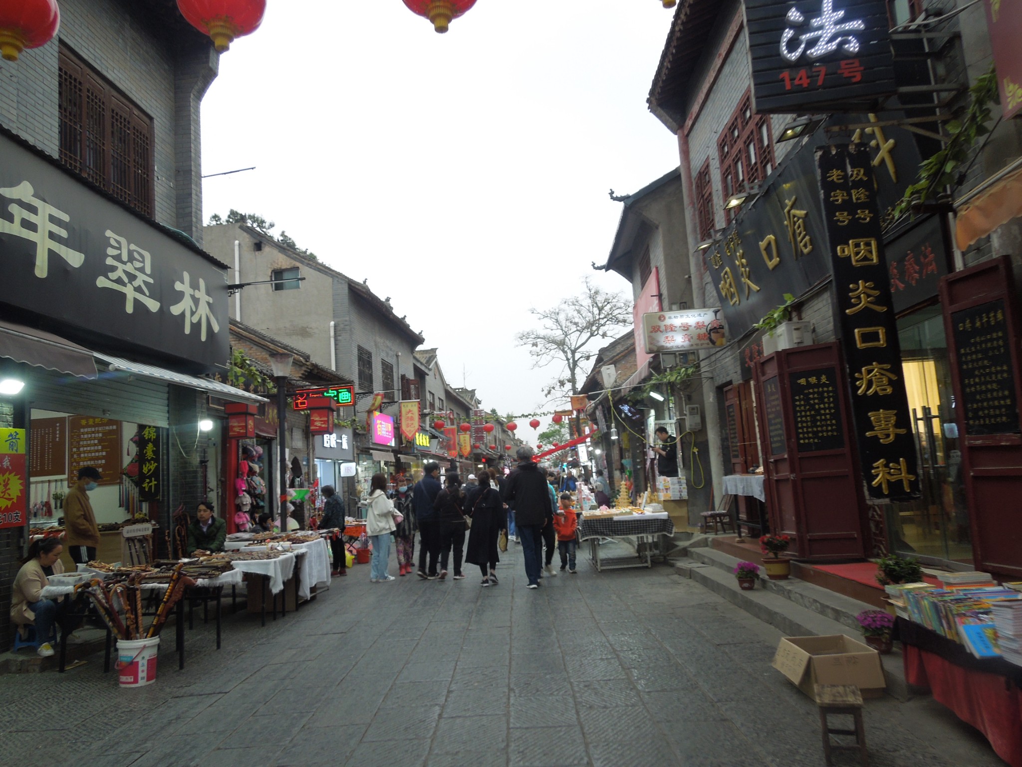 和妈妈的旅行 河南篇 洛阳—关林 洛邑 白马寺 牡丹花