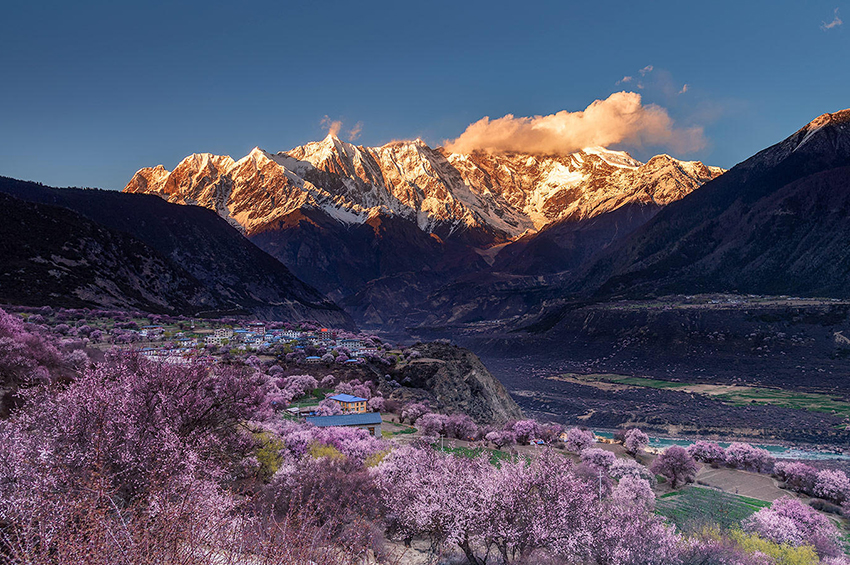 西藏林芝看桃花自驾导航路线(嘎拉桃花村 波密桃花沟