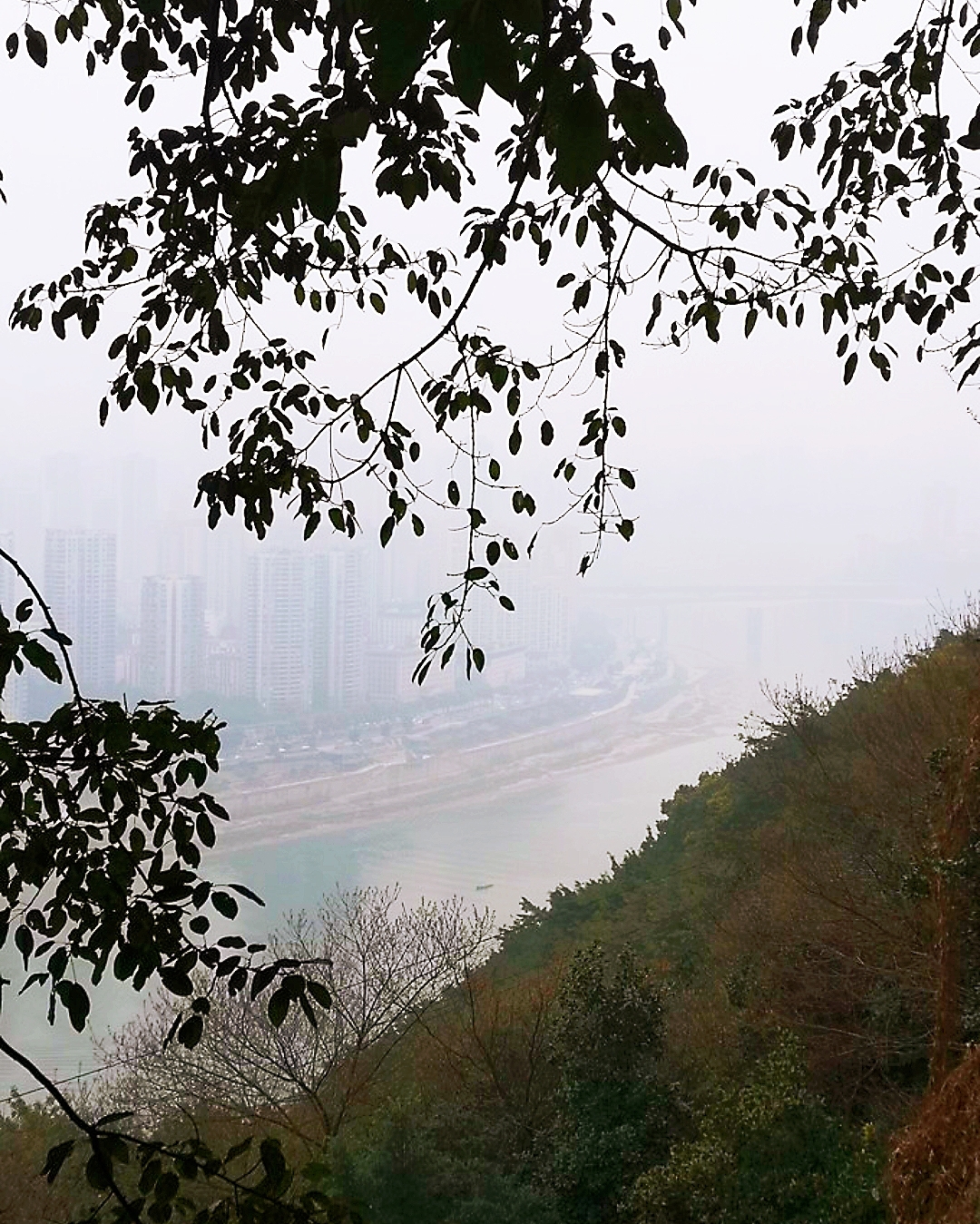 行见地铁穿花海,卧听巴山夜雨滴.——霞姐重庆佛图关公园行