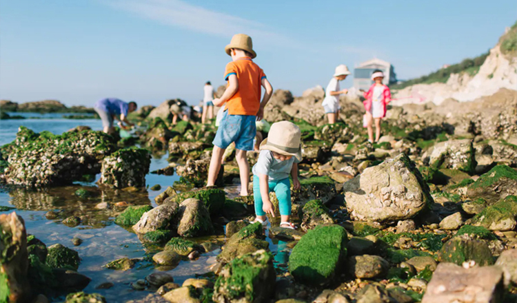 厦门赶海 小嶝岛 五缘湾赶海一日游(可选帆船出海 亲子海边捉鱼虾 抓