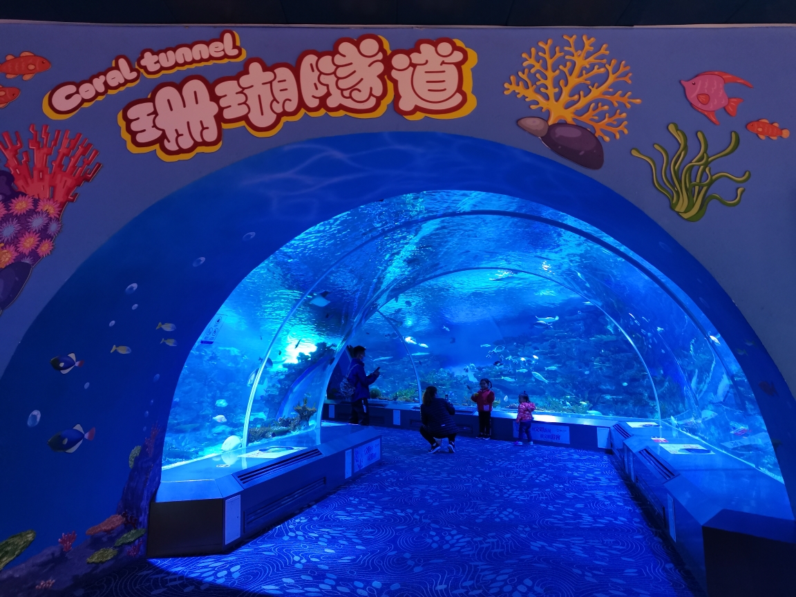 日照海洋公园-航空科技馆-太空农业园-东夷小镇一日游_游记