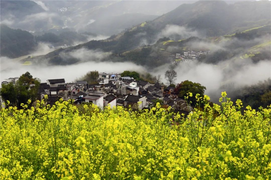 此图来源:方永华 地址 安徽省黄山市歙县霞坑