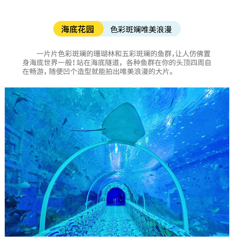 云南大理海洋世界组合套票探寻神秘海底邂逅亚特兰蒂斯海王