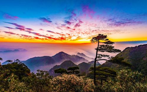 江西婺源 三清山4日3晚私家团含往返车票(错峰赏景趁着游人未至一单一