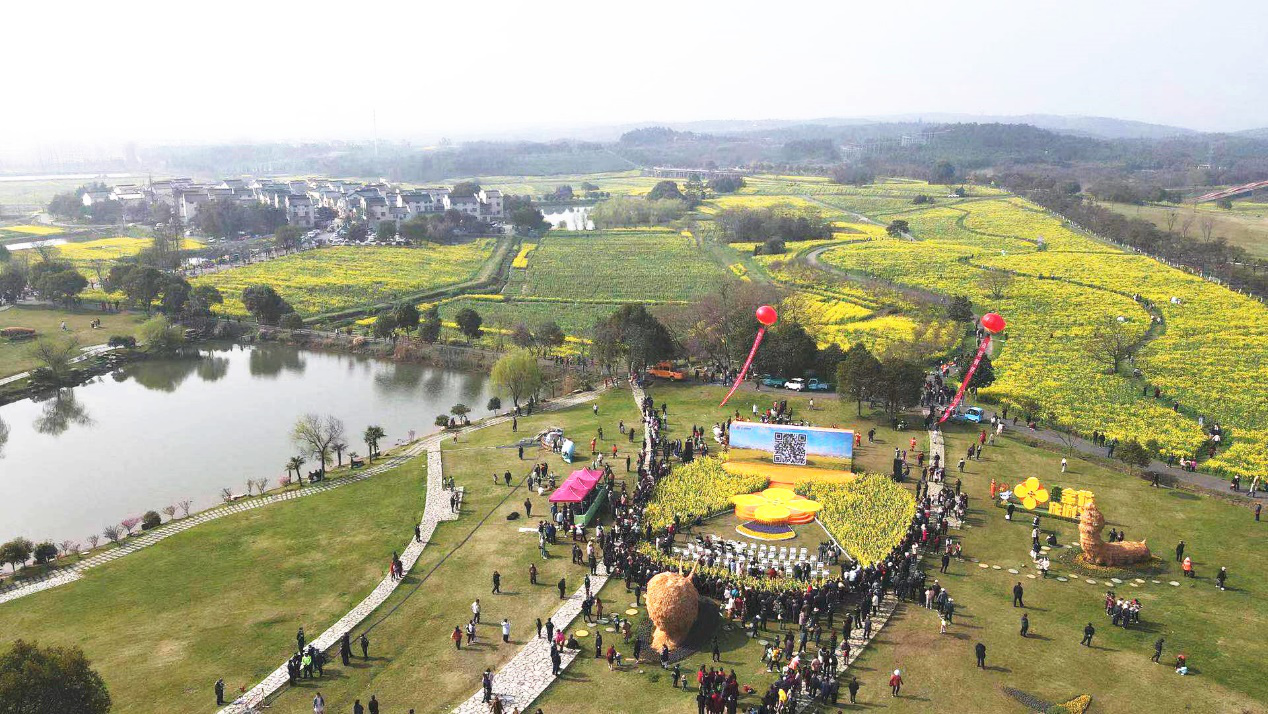 金花有约，又见高淳—— 第十三届中国·高淳国际慢城金花旅游节开幕 