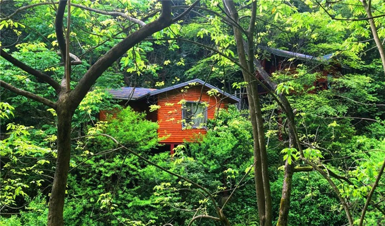 岳阳平江绊山度假山庄(双人早餐 木屋别墅居住权一晚