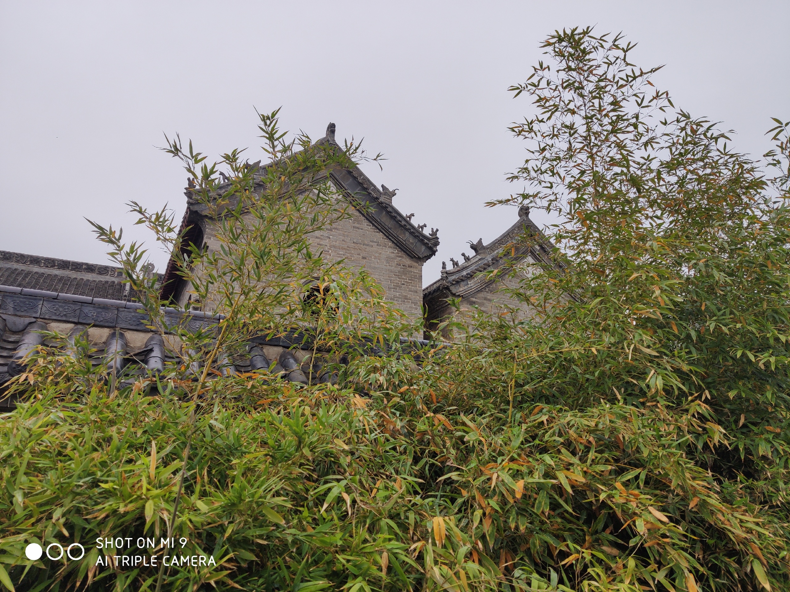 单县景点介绍,单县旅游景点,单县景点推荐 - 马蜂窝