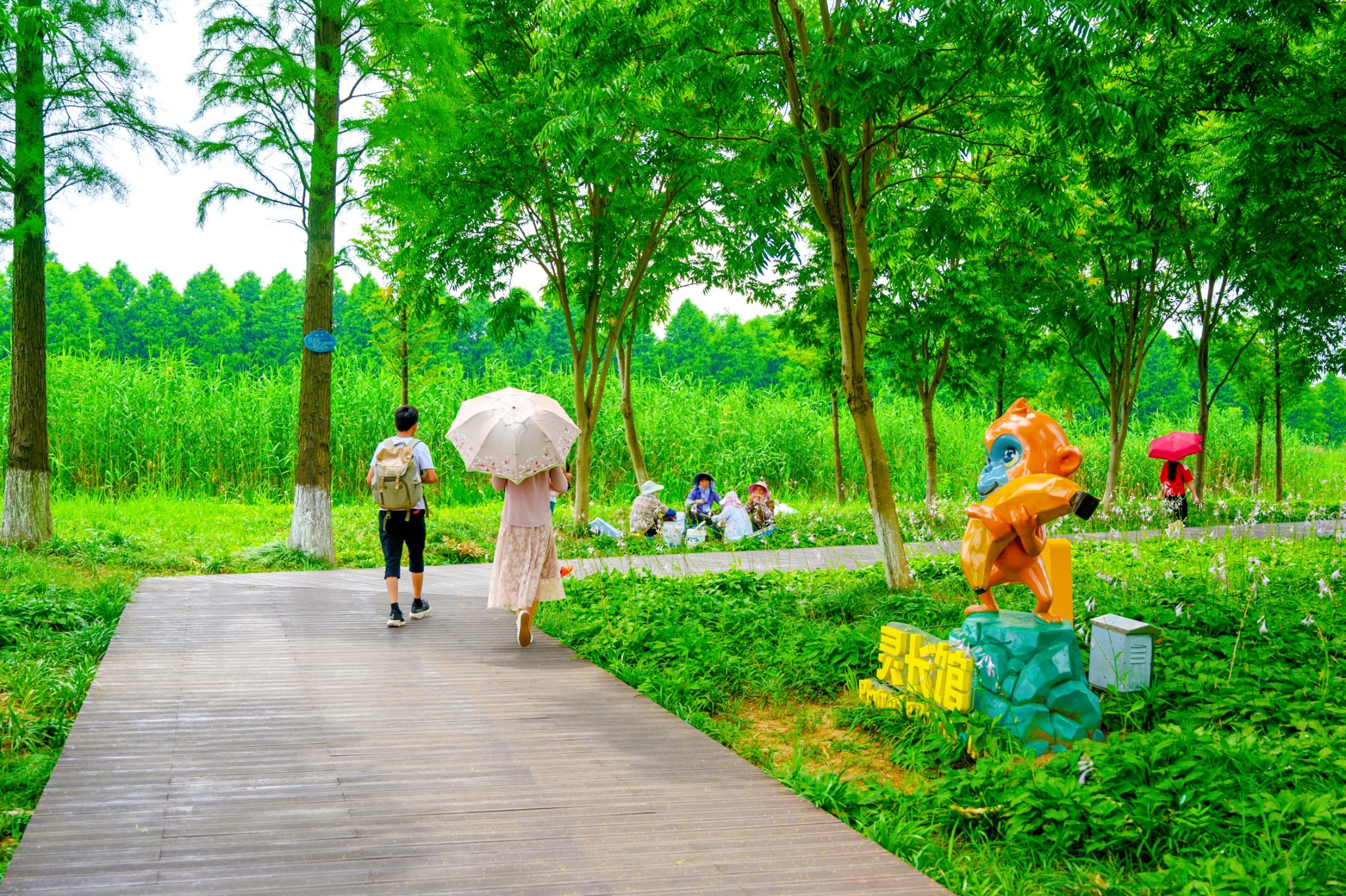 慢游高淳,"荷"你有约!固城湖水慢城二日游攻略
