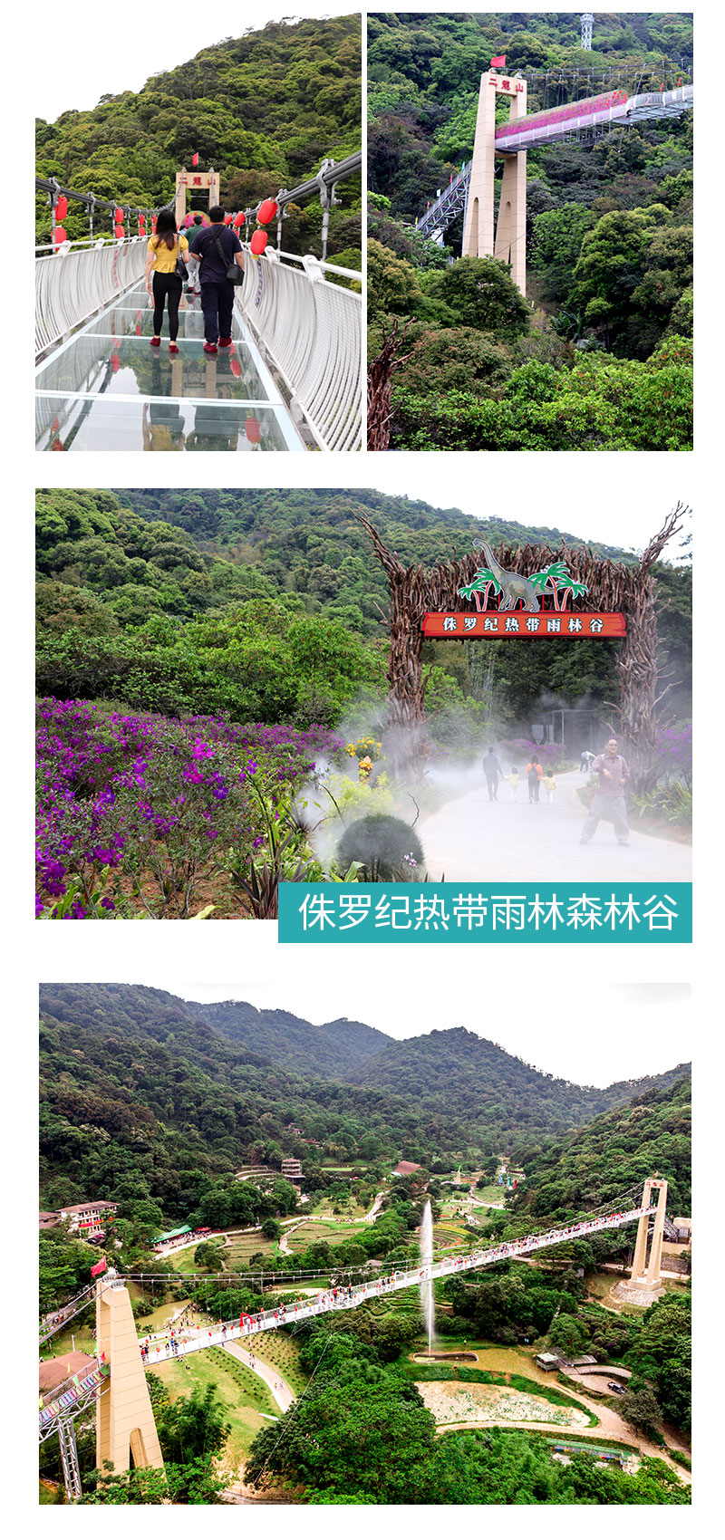 广州周边增城二龙山沃德国际营地精致露营2日游(二龙山花园景区 星空