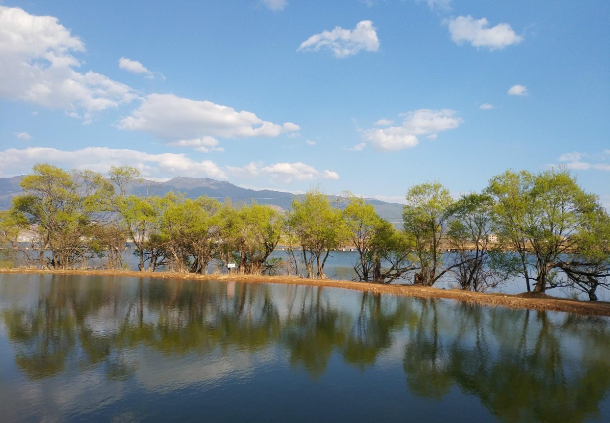 鹤庆黑龙潭,水光山色