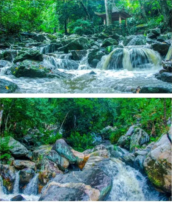 海南琼中海鼎百花岭雨林文化旅游区门票/成人门票 往返观光车票/高空