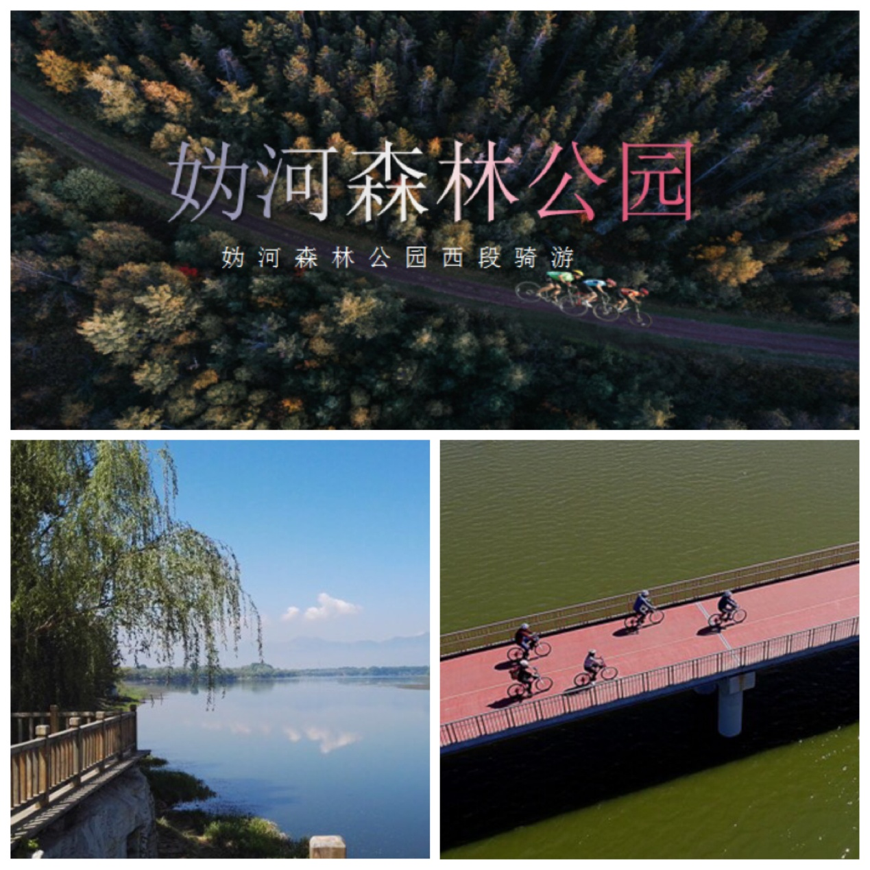 清凉怡夏妫河森林公园骑行皮划艇一日游(15km妫河森林