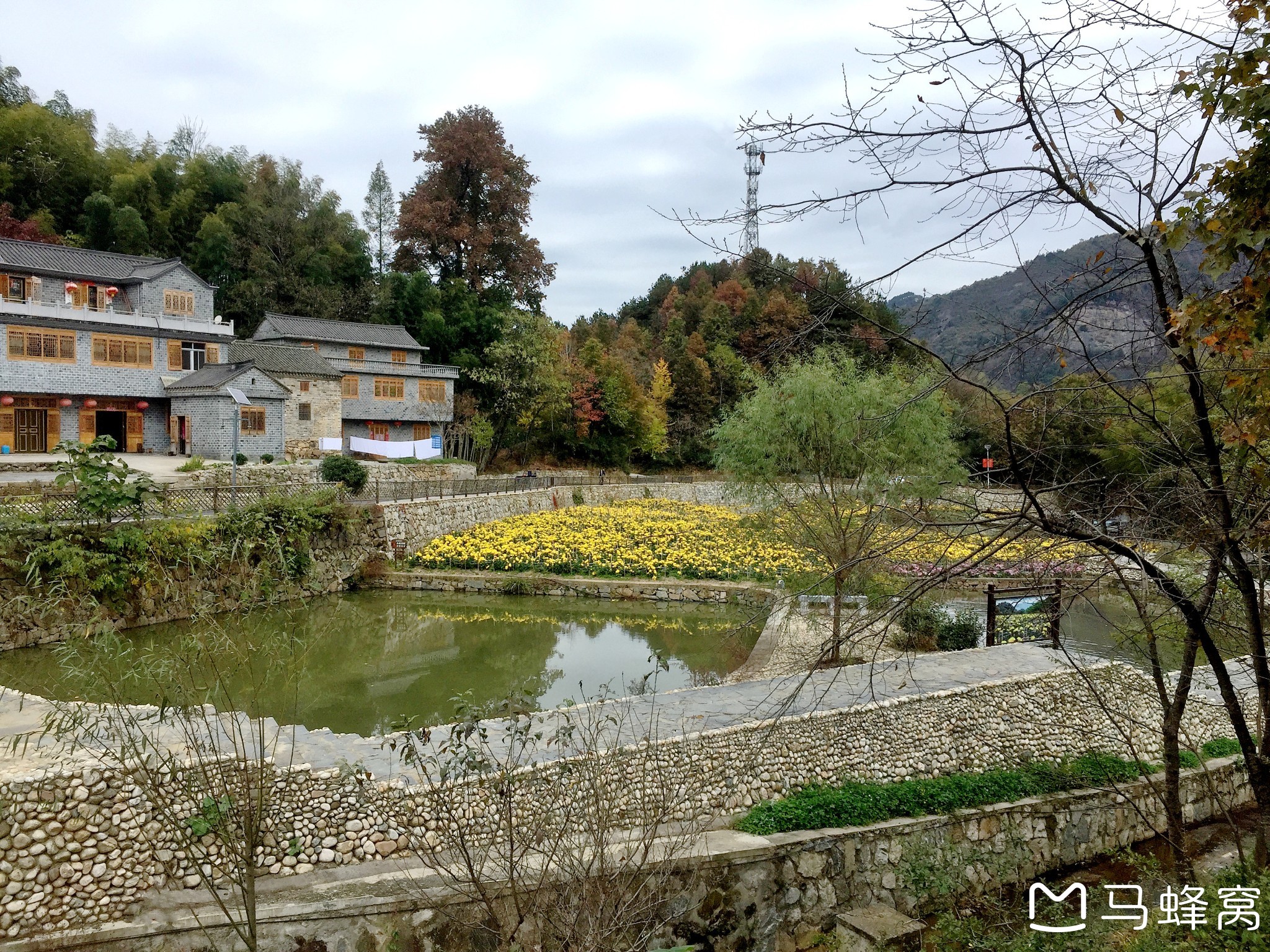 绽放新颜的大湾村,金寨旅游攻略 - 马蜂窝