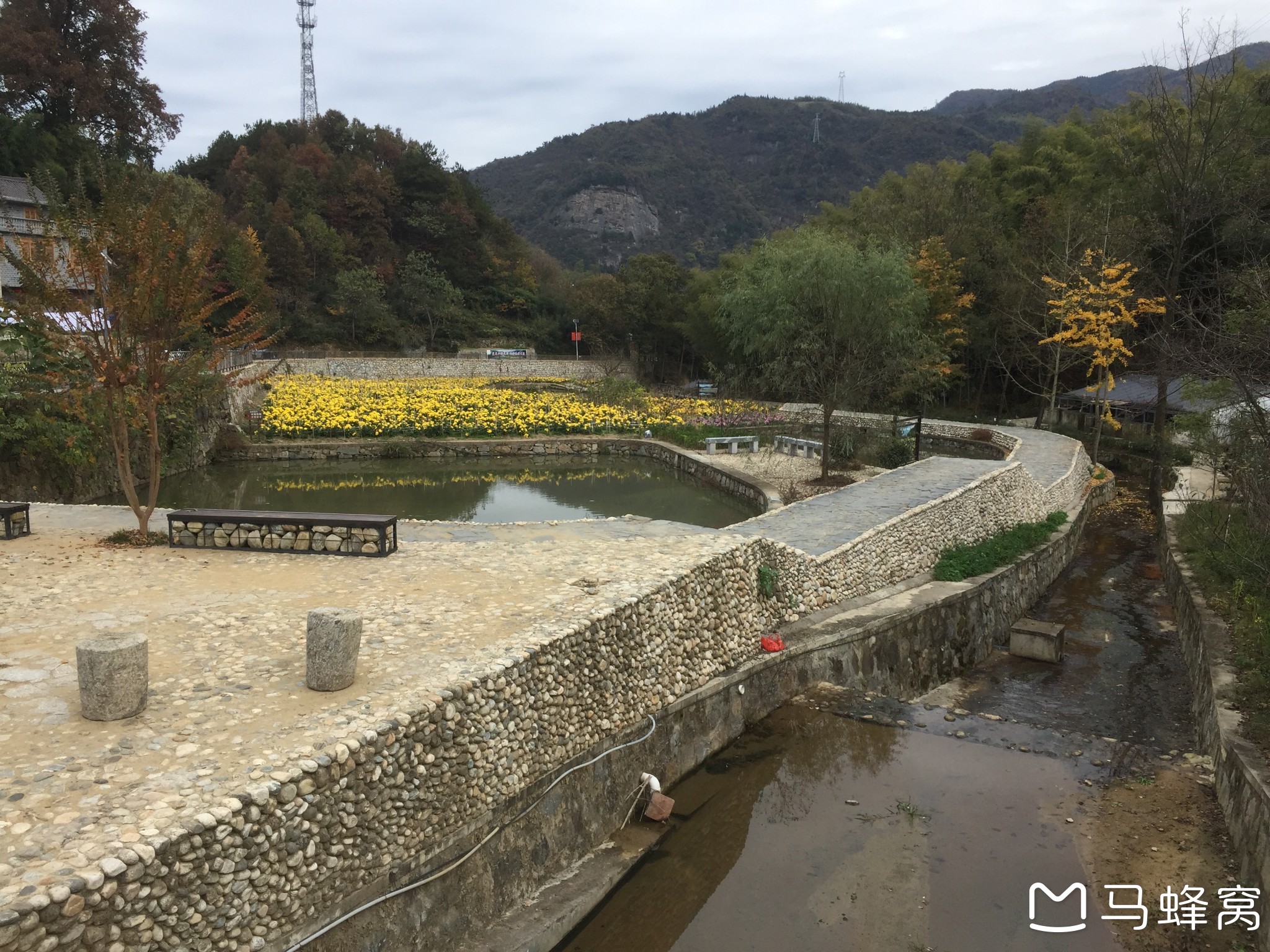 绽放新颜的大湾村