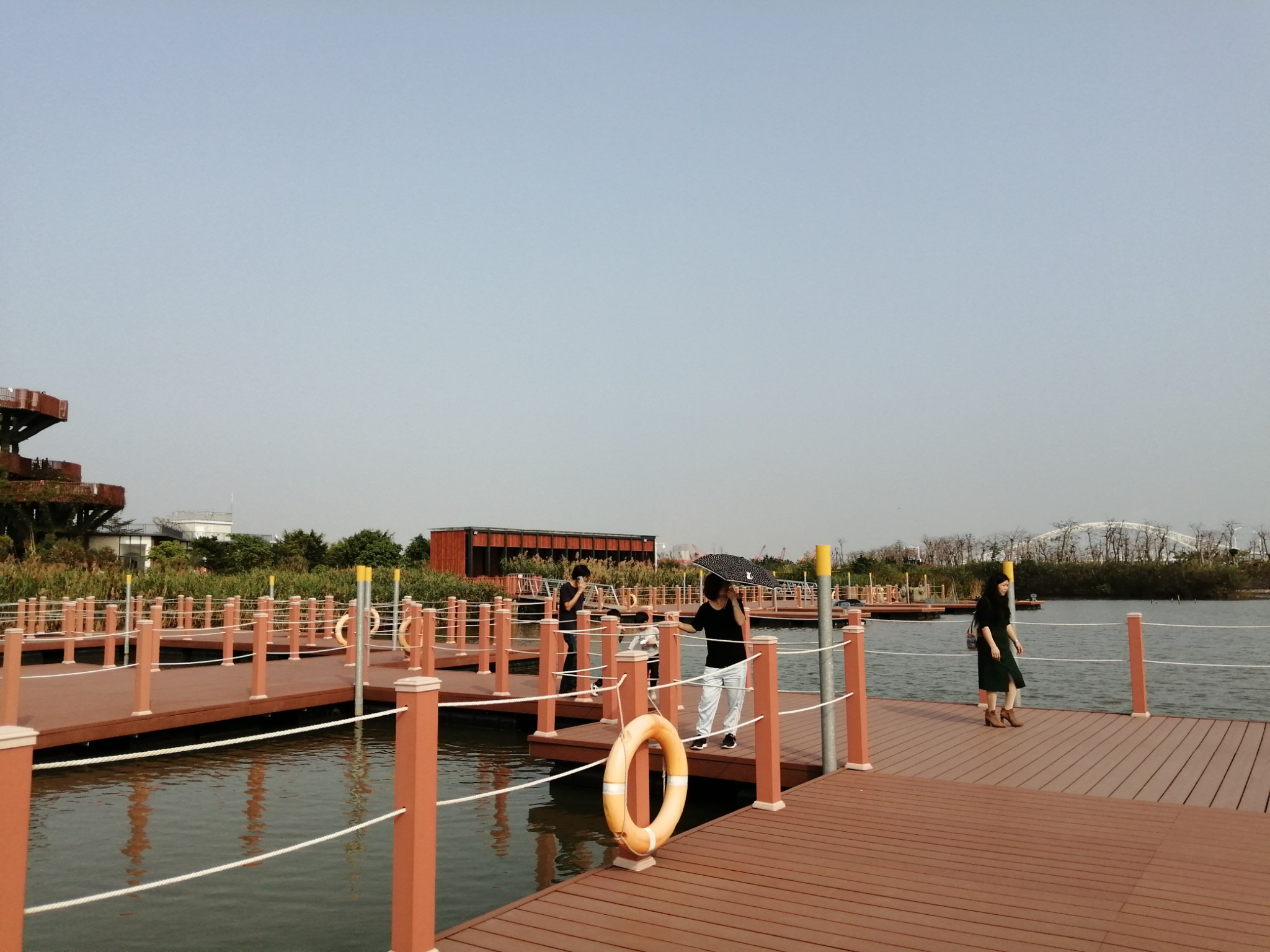 珠海横琴芒洲湿地公园|山脉田园,水脉都市,芒海浮绿,>