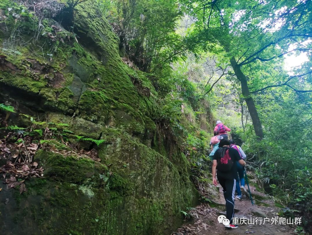 山行游记-探路重庆虎峰山:只为找到