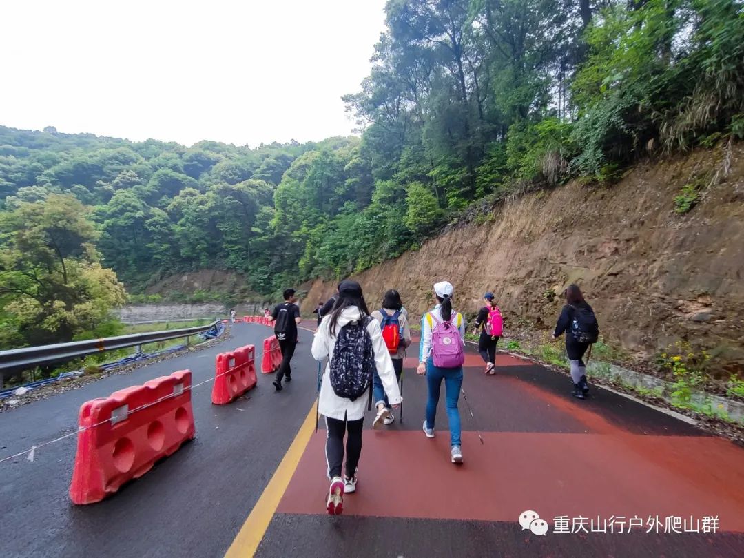 山行游记-探路重庆虎峰山:只为找到