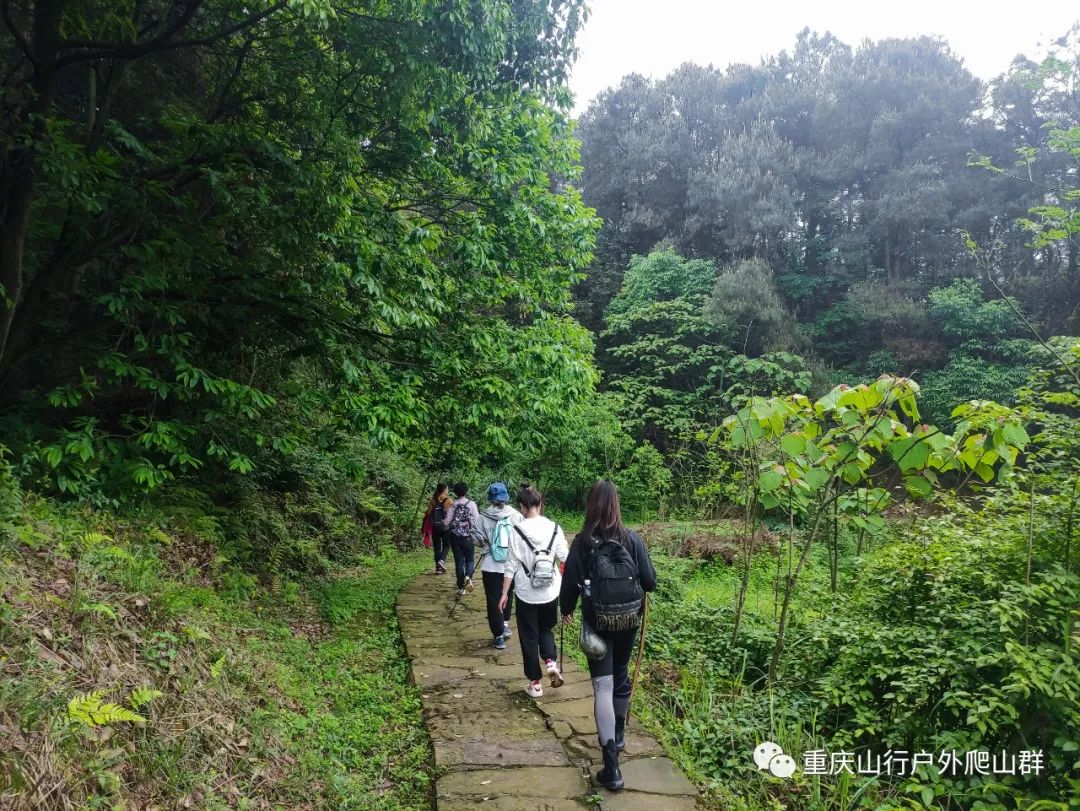 山行游记-探路重庆虎峰山:只为找到