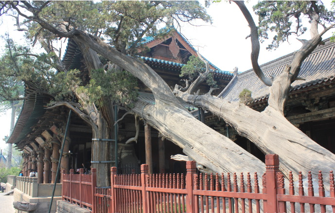 【太原】晋祠(中): 金人台 献殿 鱼沼飞梁 圣母殿