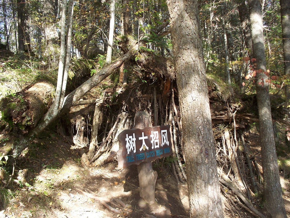 古筝音乐高山流水曲谱