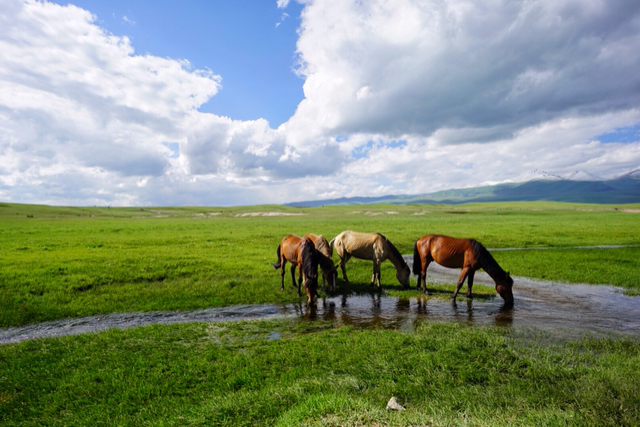 8月底去那拉提，天气怎么样