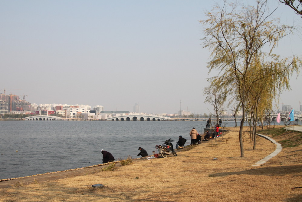 东营旅游图片,东营自助游图片,东营旅游景点照片 - 马