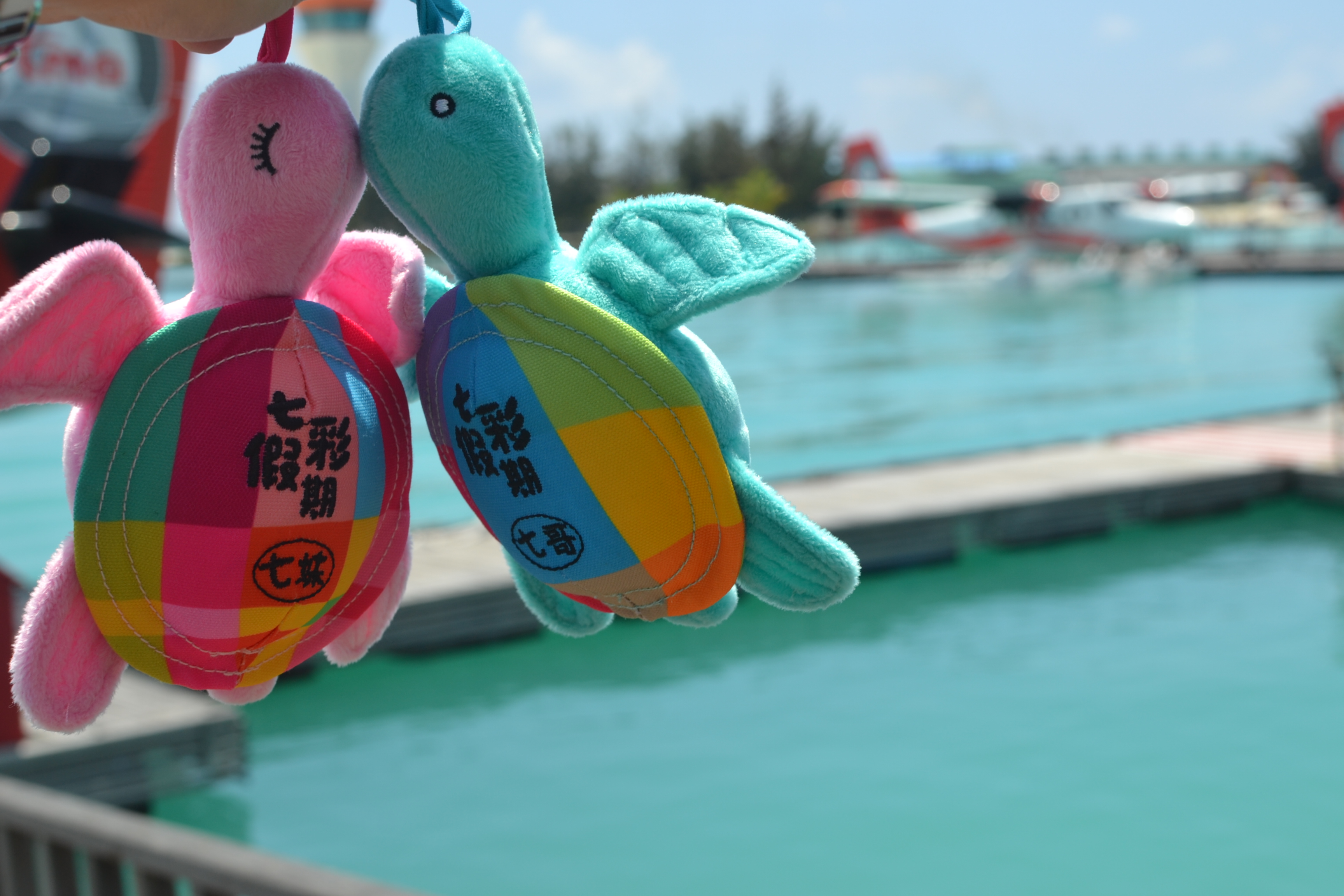 明年计划去大溪地，想请问一下最好的天气是几月：不阴天、不下雨、大晴天的那种