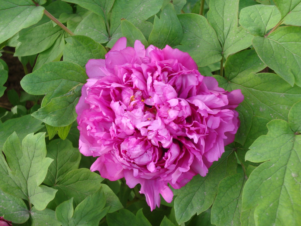 wKgBt0-f_UHrciD4AAM_WH-_Kk858.jpeg?imageView2%2F2%2Fw%2F600%2Fh%2F600%2Fq%2F90