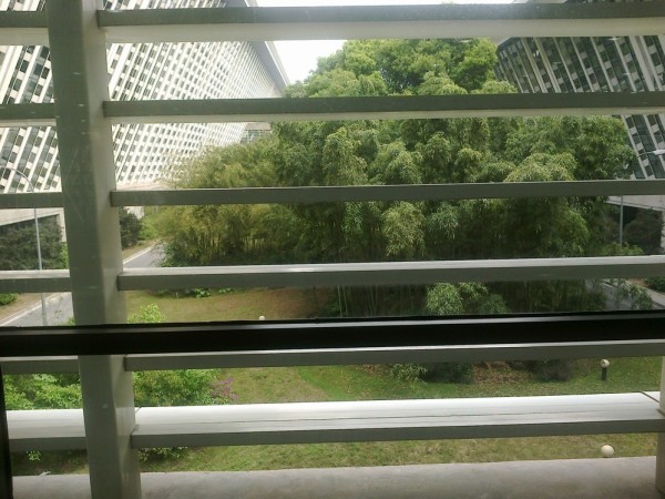 什么山旷成语_成语故事图片(3)