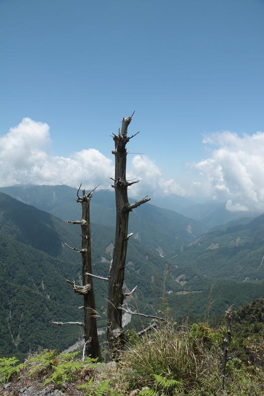 玉山县多少人口_江西上饶玉山县照片(2)